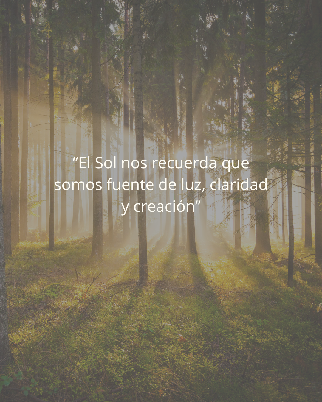 7 - Curso Geometría Sol