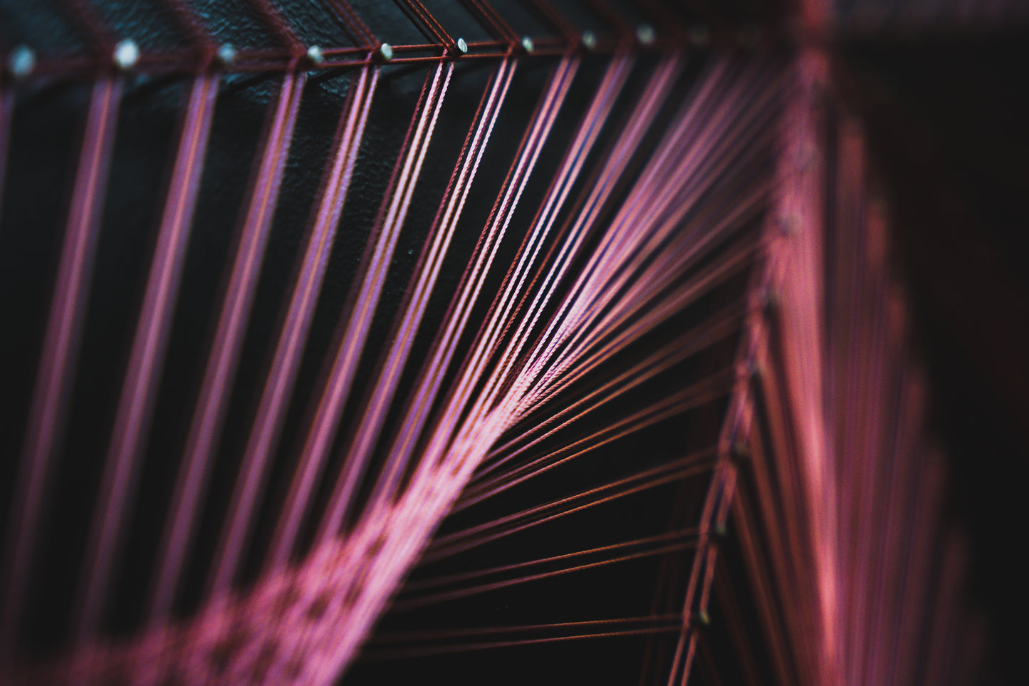 4 - Curso Geometría Lirio