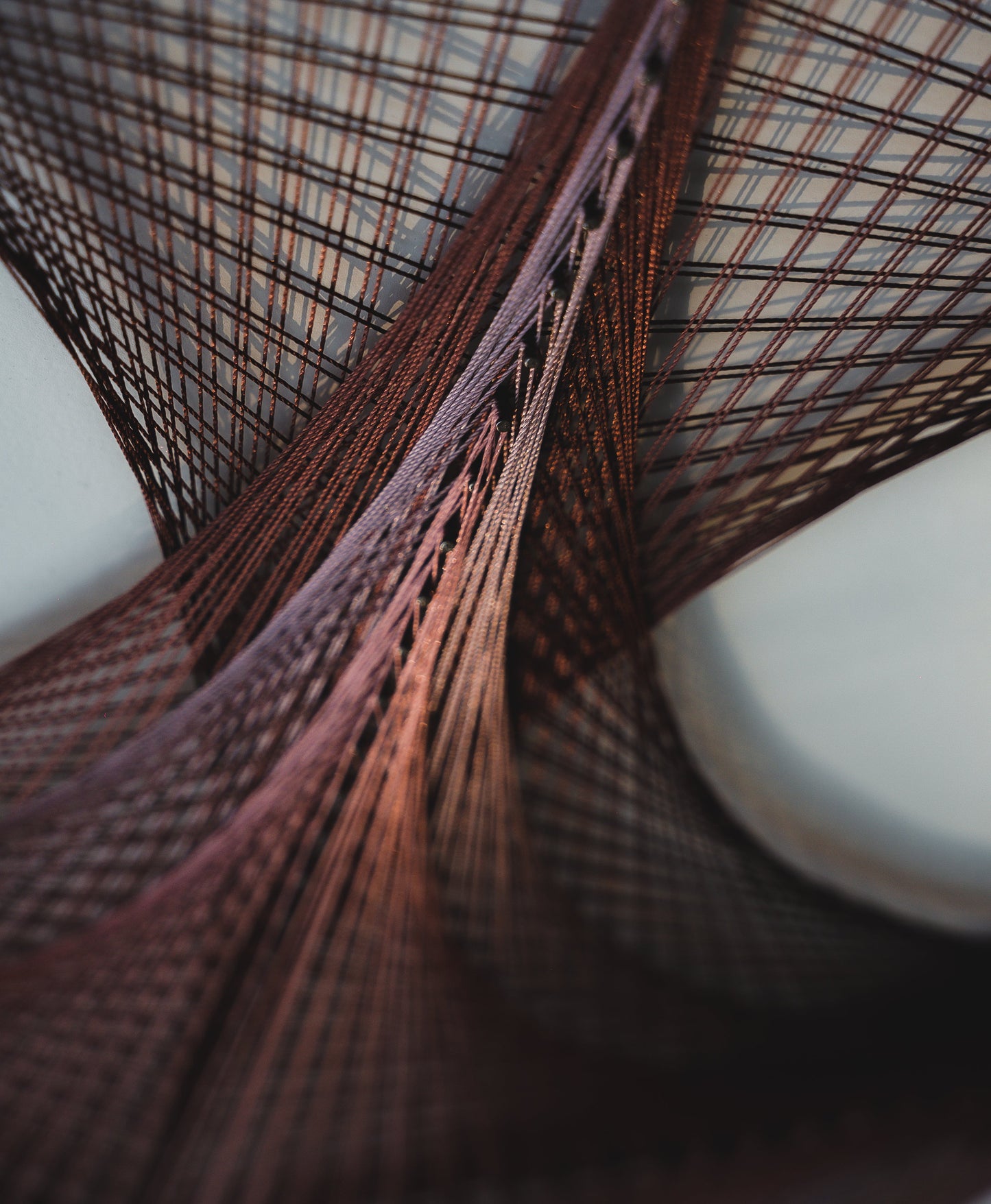 3 - Curso Geometría Pulpo