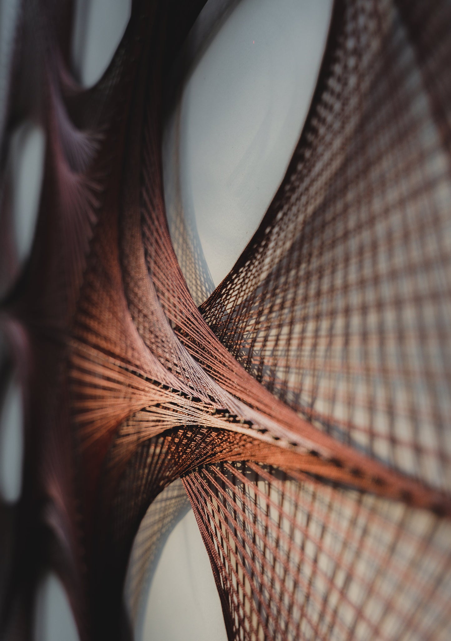 3 - Curso Geometría Pulpo