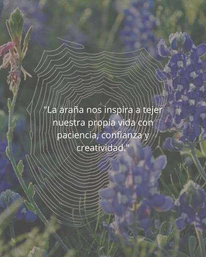 Curso de iniciación + Curso geometría Arañita