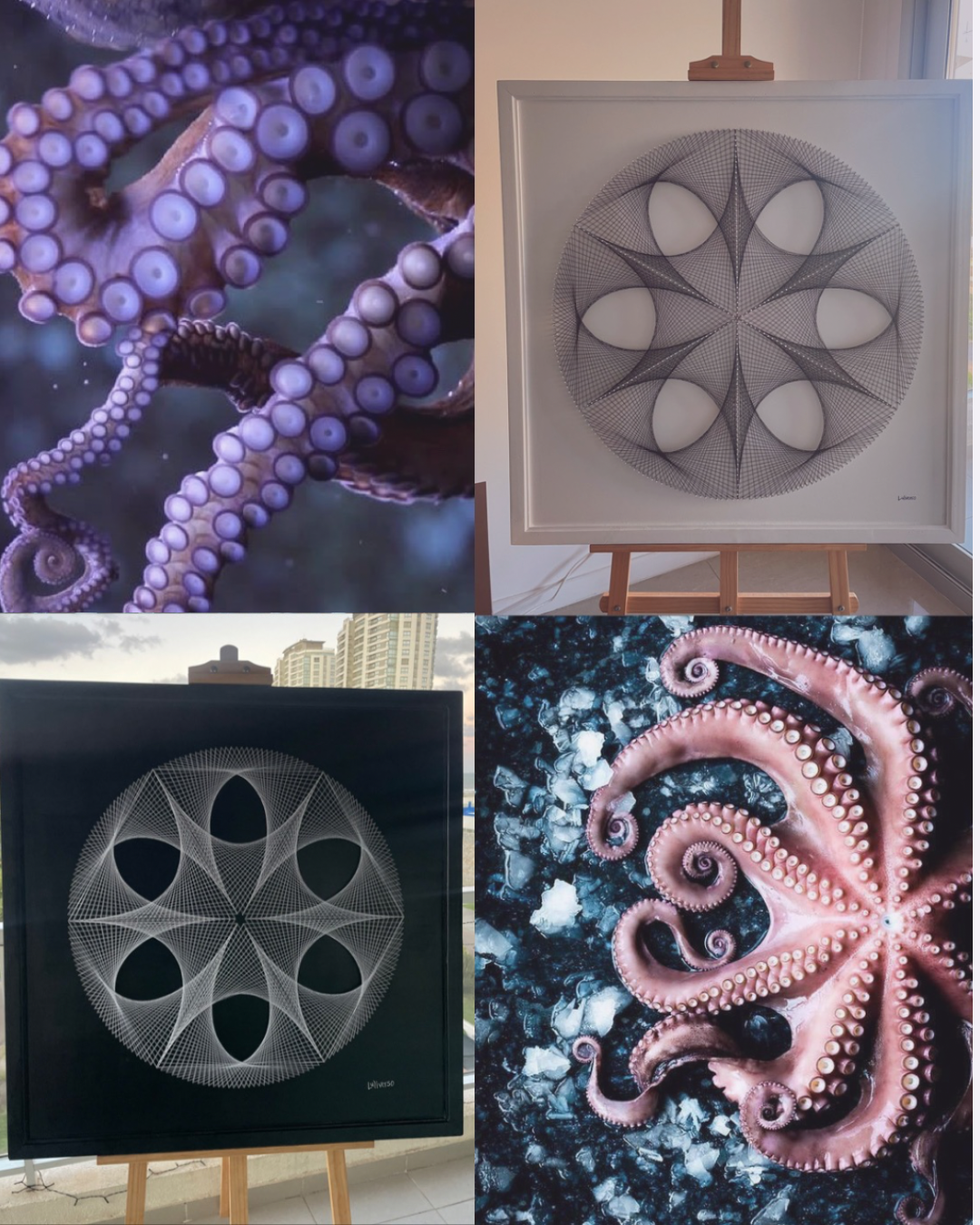 3 - Curso Geometría Pulpo