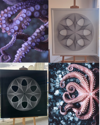 3 - Curso Geometría Pulpo