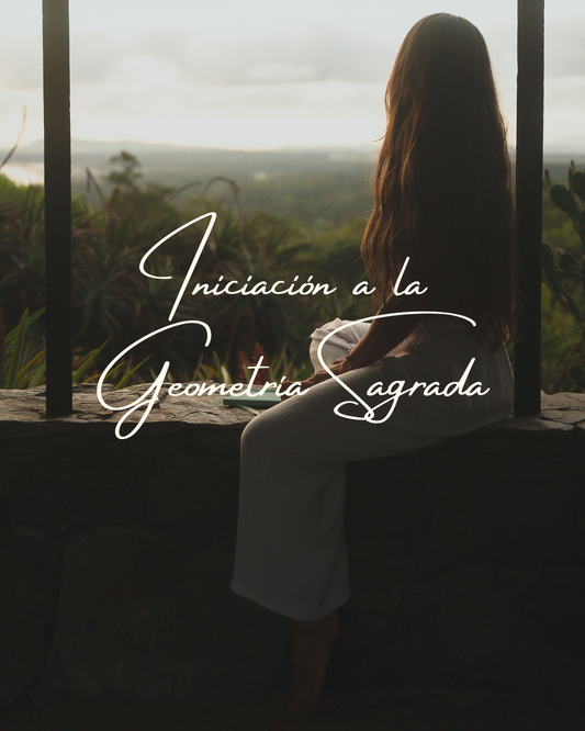 Curso de iniciación + Curso geometría Arañita